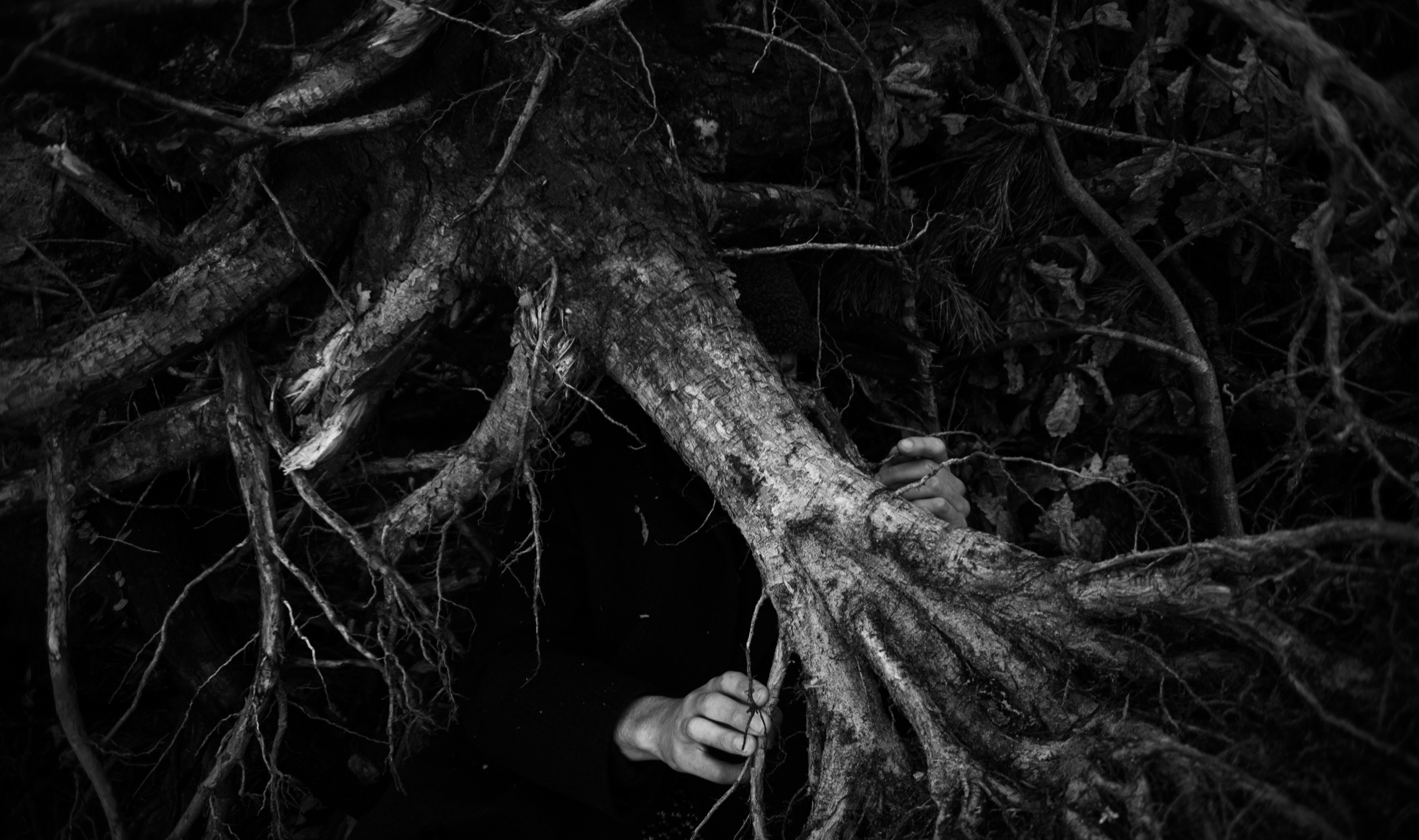 Body and earth, from Genesis